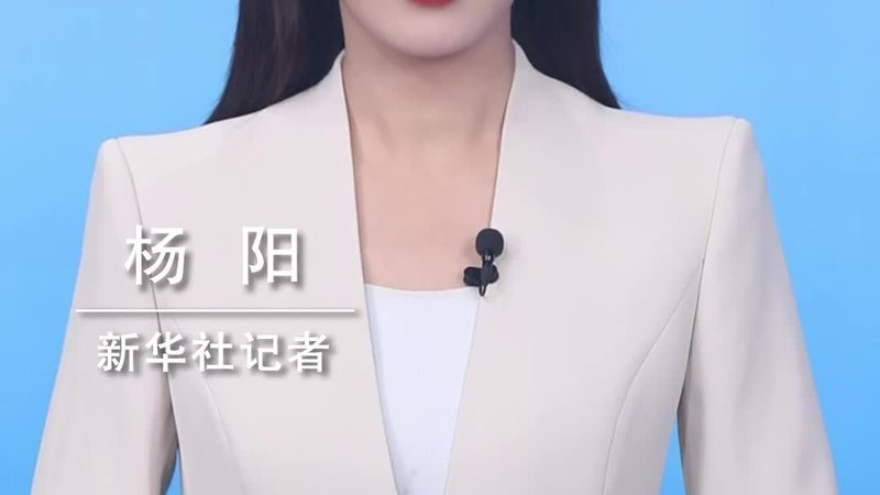 供应链管理不只是催货：一个被低估的决策型岗位